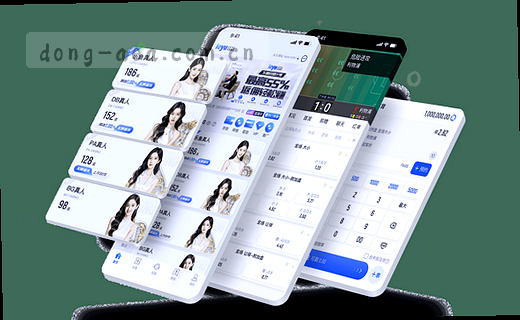 数据档案核心速览卡片